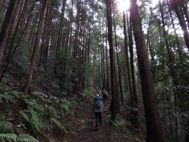 日和田山、物見山